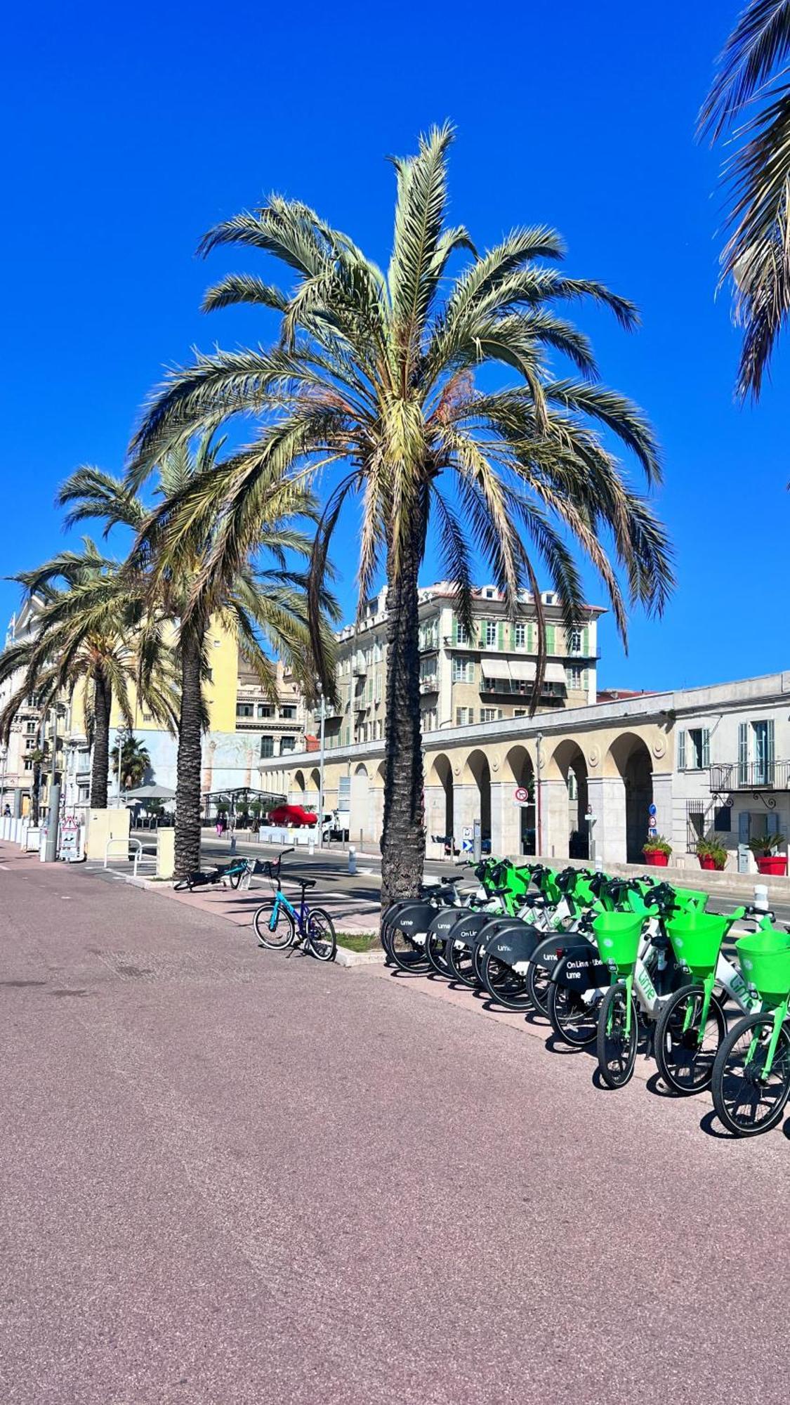 Le Syrius Corniche Niza Exterior foto